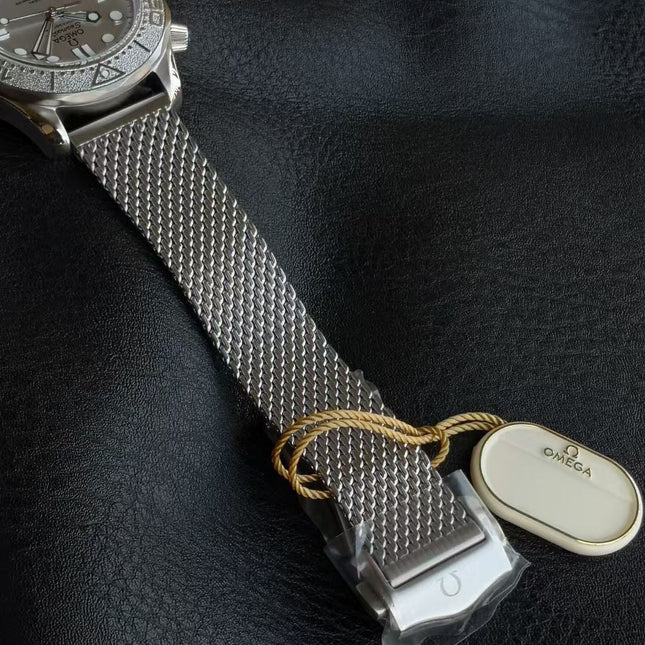 SEAMASTER DIVER 300M SILVER CASE WITH BRUSHED MESH BRACELET WITH CLASP