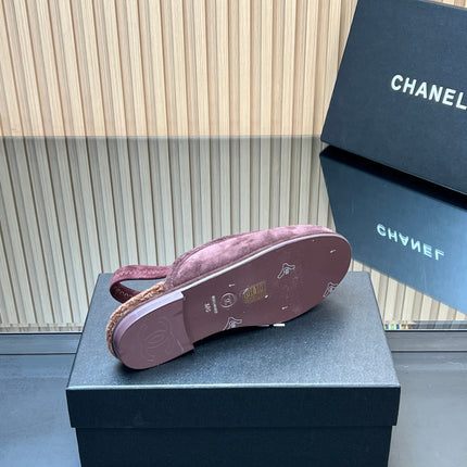 CHANEL 25S BACK STRAP MULE 15MM IN DARK PURPLE SUEDE AND WOOL GOLD HARDWRE