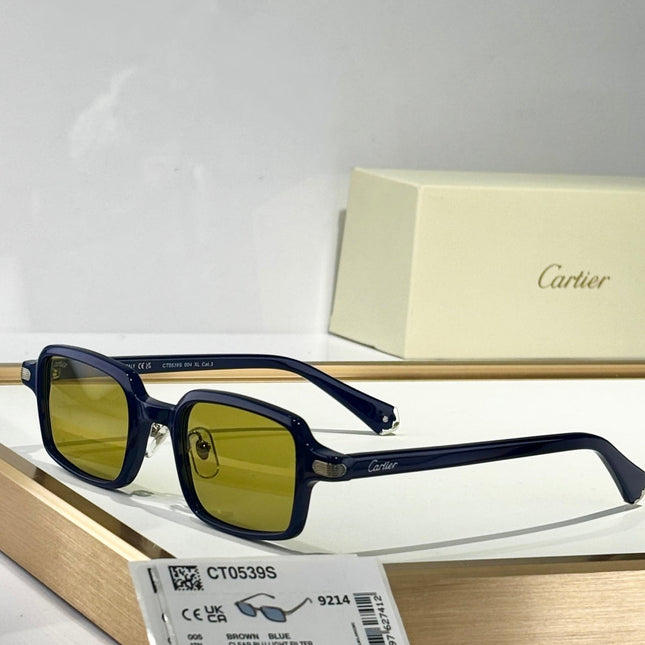PREMIÈRE SQUARE FRAME SUNGLASSES CT0539S IN ACETATE