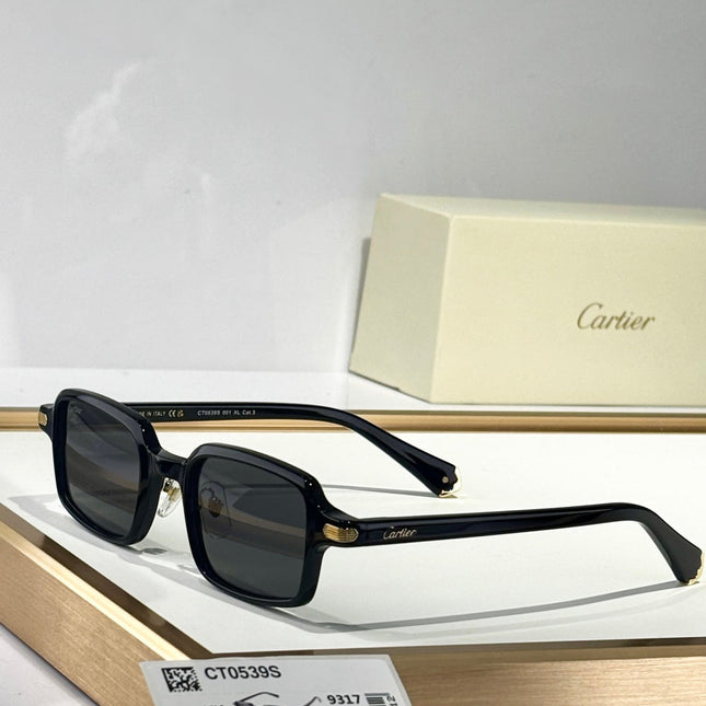 PREMIÈRE SQUARE FRAME SUNGLASSES CT0539S IN ACETATE