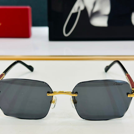 SIGNATURE C DE RECTANGULAR FRAME SUNGLASSES CT0483S IN METAL AND WOODEN