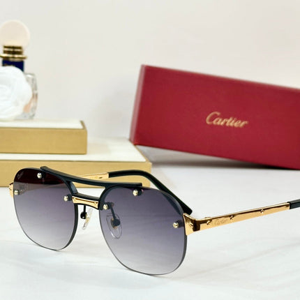 SANTOS ROUND FRAME SUNGLASSES CT00676 IN METAL