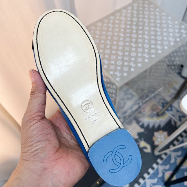 CC MARY JANE FLAT IN COBALT BLUE AND BLACK VELVET