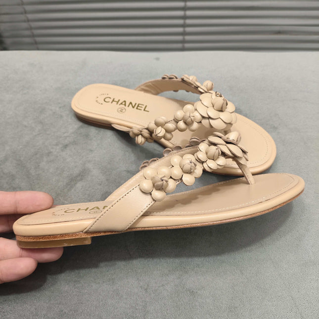 THONG SLIPPERS CAMELLIA IN BEIGE CALFSKIN
