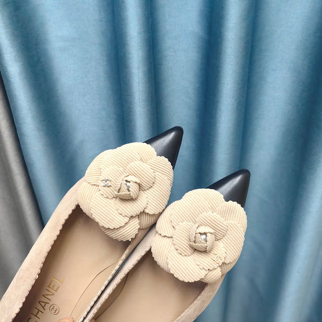 CC BALLET FLAT IN TAN BEIGE SUEDE AND BLACK CALFSKIN WITH FLOWER