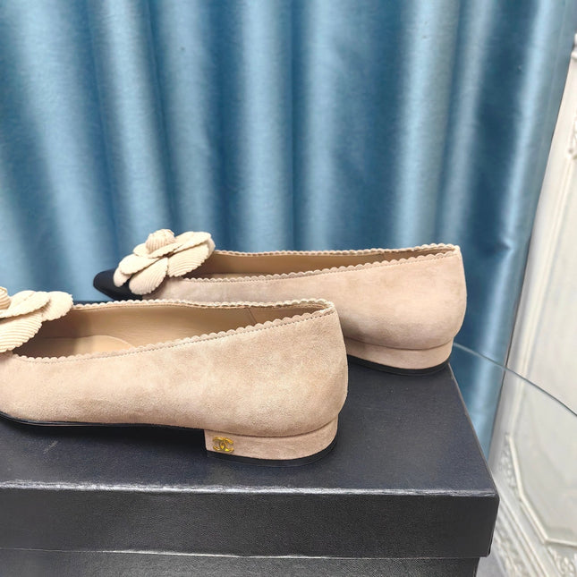 CC BALLET FLAT IN TAN BEIGE SUEDE AND BLACK CALFSKIN WITH FLOWER