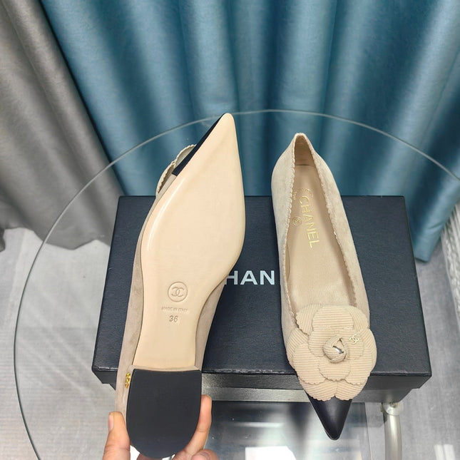 CC BALLET FLAT IN TAN BEIGE SUEDE AND BLACK CALFSKIN WITH FLOWER