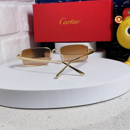 SANTOS RECTANGULAR FRAME SUNGLASSES CT0473S IN METAL