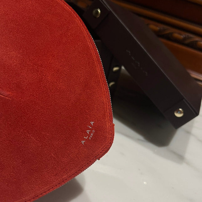 LE COEUR BAG 21 IN OLD BRICK SUEDE
