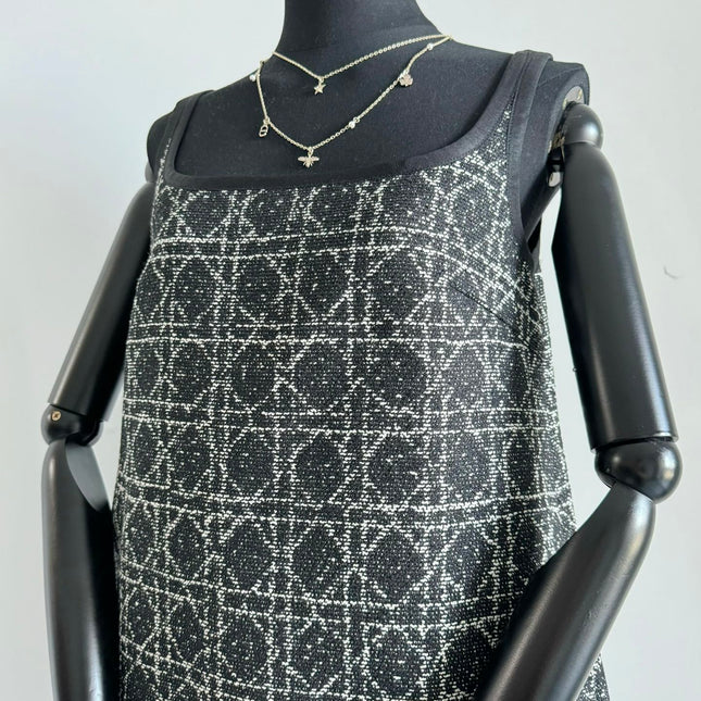 DIOR 25S PLAID SKIRT STYLE 010