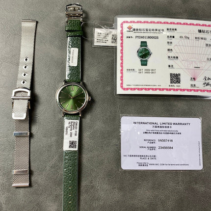 PORTOFINO AUTOMATIC 34 WATCH SILVER CASE WITH JUNGLE GREEN LEATHER STRAP AND DIAL